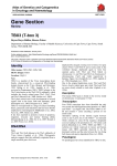 Gene Section TBX3 (T-box 3) Atlas of Genetics and Cytogenetics