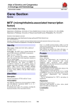 Gene Section MITF (microphthalmia-associated transcription factor) Atlas of Genetics and Cytogenetics