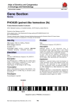 Gene Section PHOX2B (paired-like homeobox 2b) Atlas of Genetics and Cytogenetics