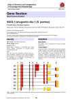 Gene Section SGOL1 (shugoshin-like 1 (S. pombe)) Atlas of Genetics and Cytogenetics