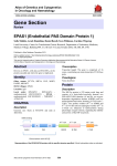 Gene Section EPAS1 (Endothelial PAS Domain Protein 1) in Oncology and Haematology