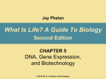 What Is Life? A Guide To Biology Second Edition DNA, Gene Expression,