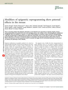 Modifiers of epigenetic reprogramming show paternal effects in the mouse