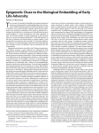 T Epigenetic Clues to the Biological Embedding of Early Life Adversity