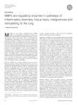MMPs are regulatory enzymes in pathways of remodelling of the lung