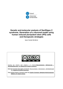 Genetic and molecular analysis of Sanfilippo C