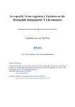 Sex-specific Trans-regulatory Variation on the Drosophila melanogaster X Chromosome