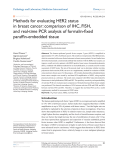 Methods for evaluating HER2 status and real-time PCR analysis of formalin-fixed