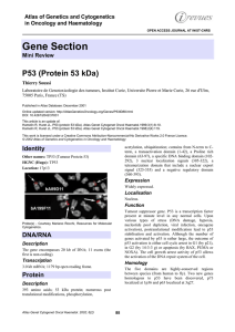 Gene Section P53 (Protein 53 kDa) Atlas of Genetics and Cytogenetics