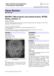 Gene Section MAPRE1 (Microtubule-associated protein, RP/EB family, member 1)