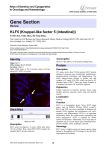 Gene Section KLF5 (Kruppel-like factor 5 (intestinal)) Atlas of Genetics and Cytogenetics