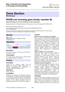 Gene Section RHOB (ras homolog gene family, member B)