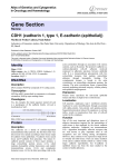Gene Section CDH1 (cadherin 1, type 1, E-cadherin (epithelial))