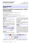 Gene Section PAK1 (p21/Cdc42/Rac1-activated kinase 1 (STE20 homolog, yeast))