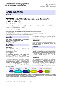 Gene Section ADAM12 (ADAM metallopeptidase domain 12 (meltrin alpha))