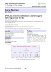 Gene Section MYBL2 (v-myb myeloblastosis viral oncogene homolog (avian)-like 2)