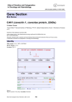 Gene Section CAV1 (caveolin 1, caveolae protein, 22kDa) in Oncology and Haematology