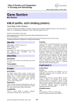 Gene Section ANLN (anillin, actin binding protein) Atlas of Genetics and Cytogenetics