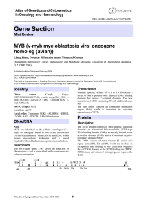Gene Section MYB (v-myb myeloblastosis viral oncogene homolog (avian))