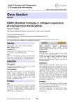 Gene Section DAB2 (disabled homolog 2, mitogen-responsive phosphoprotein (Drosophila))