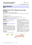 Gene Section MUC5AC (mucin 5AC, oligomeric mucus/gel forming) -