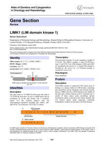 Gene Section LIMK1 (LIM domain kinase 1)  Atlas of Genetics and Cytogenetics