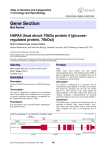 Gene Section HSPA5 (heat shock 70kDa protein 5 (glucose regulated protein, 78kDa)) -
