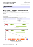 Gene Section MUC6 (mucin 6, oligomeric mucus/gel forming) -