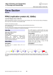 Gene Section RPA2 (replication protein A2, 32kDa) Atlas of Genetics and Cytogenetics