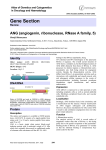 Gene Section ANG (angiogenin, ribonuclease, RNase A family, 5)