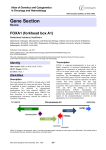 Gene Section FOXA1 (forkhead box A1)  Atlas of Genetics and Cytogenetics