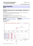 Gene Section BCAR1 (breast cancer anti estrogen resistance 1) -