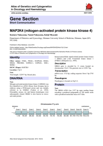 Gene Section MAP2K4 (mitogen activated protein kinase kinase 4) -
