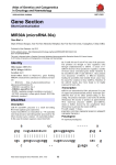 Gene Section MIR30A (microRNA 30a)  Atlas of Genetics and Cytogenetics