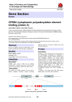 Gene Section CPEB4 (cytoplasmic polyadenylation element binding protein 4)