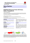 Gene Section RPS6KA6 (Ribosomal Protein S6 Kinase, 90kDa, Polypeptide 6)