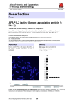 Gene Section AFAP1L2 (actin filament associated protein 1- like 2)