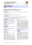 Gene Section EGR1 (Early Growth Response 1) Atlas of Genetics and Cytogenetics