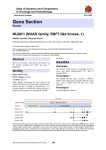 Gene Section NUAK1 (NUAK family, SNF1-like kinase, 1) in Oncology and Haematology