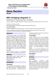 Gene Section BIN1 (bridging integrator 1) Atlas of Genetics and Cytogenetics