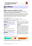 Gene Section MKI67 (marker of proliferation Ki-67) Atlas of Genetics and Cytogenetics