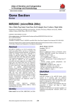 Gene Section MIR200C (microRNA 200c) Atlas of Genetics and Cytogenetics