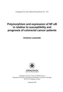 Polymorphism and expression of NF-B in relation to susceptibility and