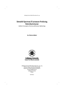 Extended-Spectrum ß-Lactamase-Producing Enterobacteriaceae Antibiotic Consumption, Detection and Resistance Epidemiology