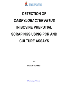 DETECTION OF IN BOVINE PREPUTIAL SCRAPINGS USING PCR AND CULTURE ASSAYS