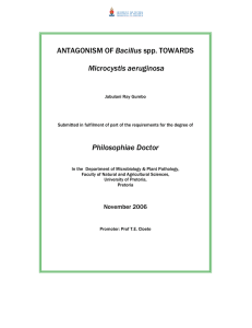 ANTAGONISM OF Bacillus spp. TOWARDS  Microcystis aeruginosa Philosophiae Doctor