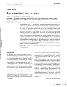 Quorum sensing in fungi  –  a review Review Article