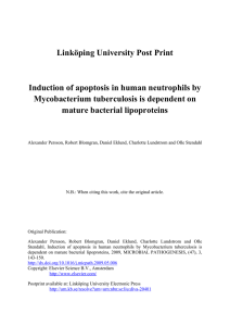 Linköping University Post Print Induction of apoptosis in human neutrophils by