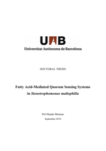 Fatty Acid-Mediated Quorum Sensing Systems Stenotrophomonas maltophilia  DOCTORAL THESIS