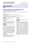 Gene Section S100A1 (S100 calcium binding protein A1) in Oncology and Haematology